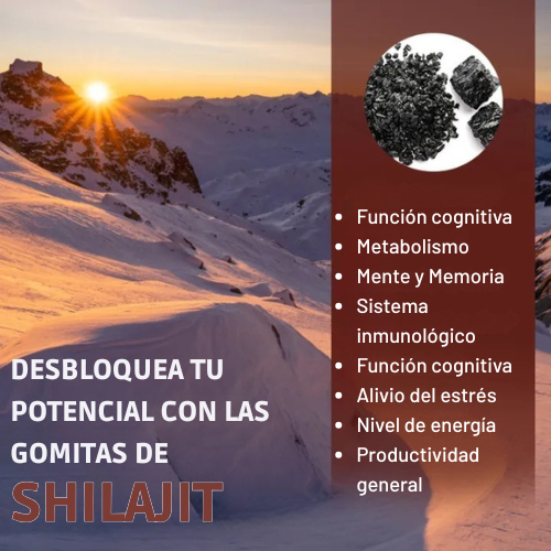 SUP Gummies SHILAJIT 30 unidades